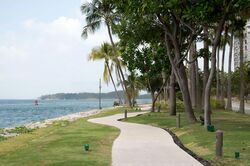 Siloso Beach Walk (D4), Detached #437287971